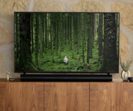 Sonos Arc with TV